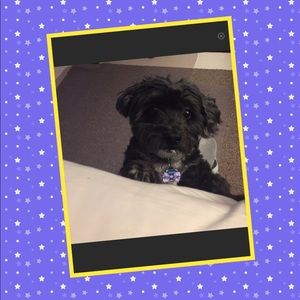 Meet your Posher, Claire